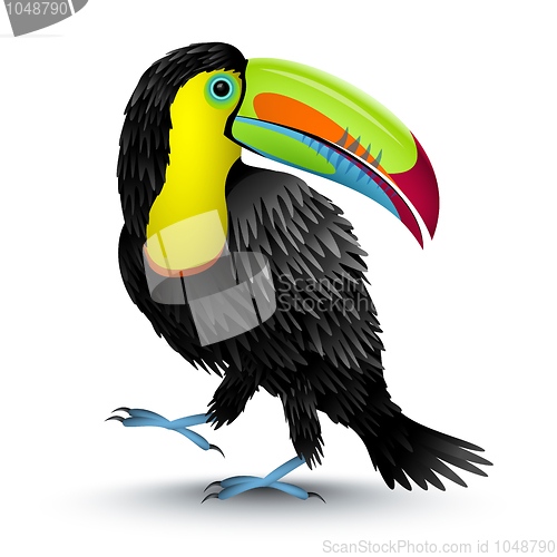 Image of Toucan