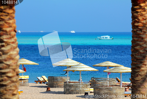 Image of tropical beach between palm trees