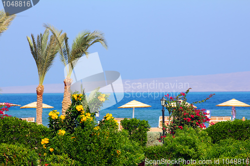 Image of flowers and palm on tropical beach