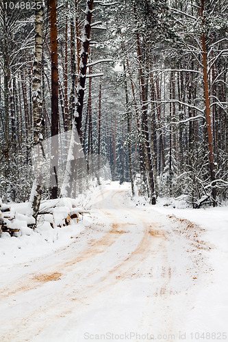 Image of Road to wood