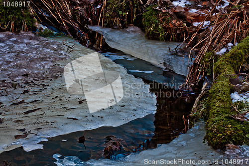 Image of Ice in the forest