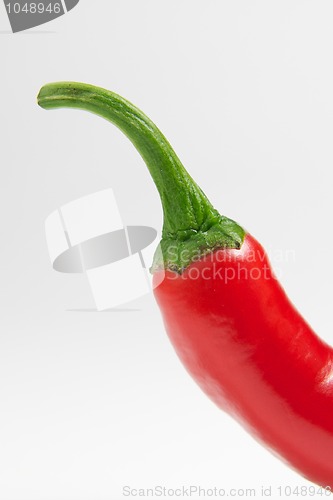 Image of Red Chili
