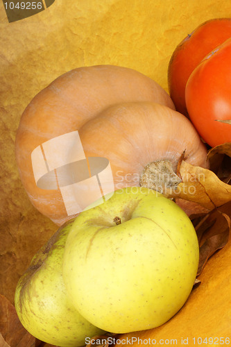 Image of Autumn still life