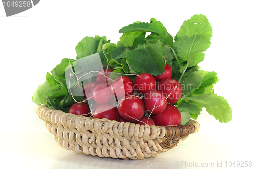 Image of Radishes