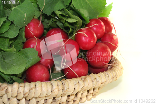 Image of Radishes