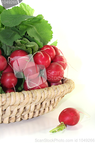 Image of Radishes