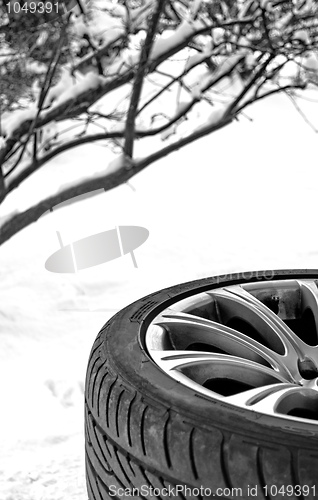 Image of Winter Snow Tire