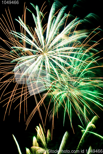 Image of Firework