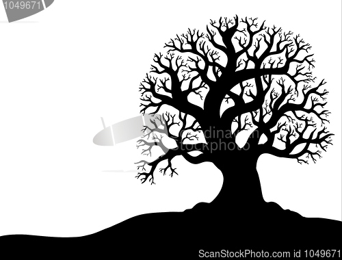 Image of Silhouette of tree without leaf 1