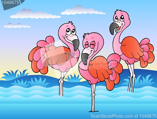 Image of Three flamingos standing in water