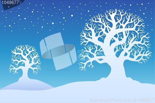 Image of Two winter trees with snow 1
