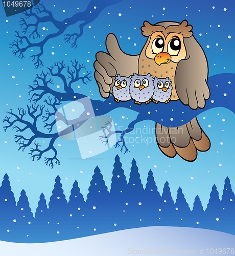 Image of Owl family in winter