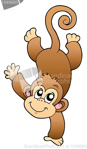 Image of Funny cute monkey