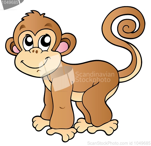 Image of Cute small monkey