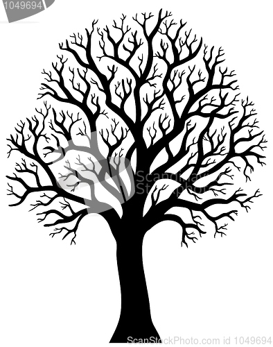 Image of Silhouette of tree without leaf 2