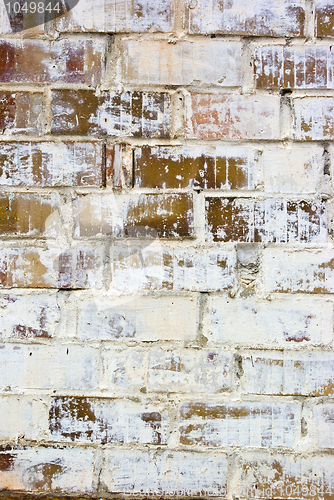 Image of White brick wall