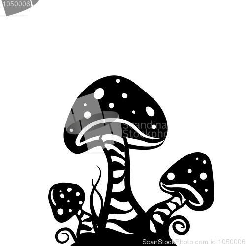 Image of mushrooms