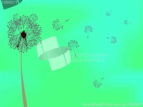 Image of dandelion against green background