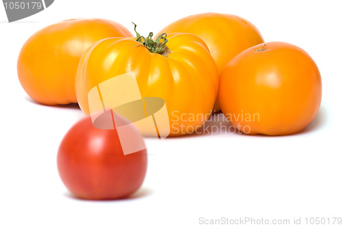 Image of Tomatoes.