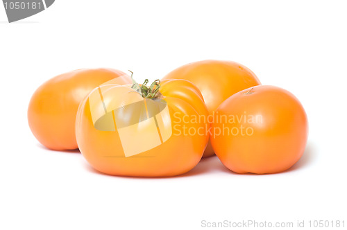 Image of Tomatoes.