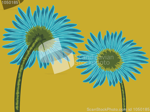 Image of flower front and back