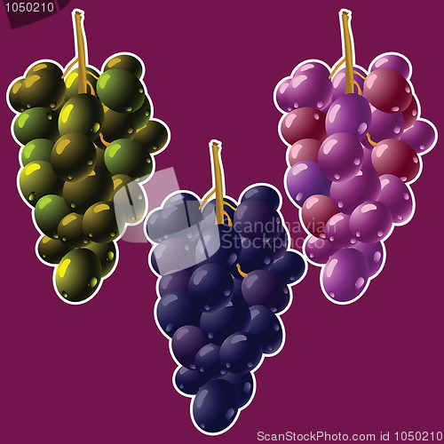 Image of grapes clusters