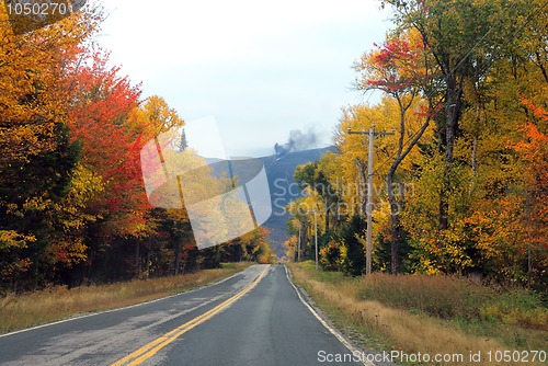 Image of Autumn Foliage