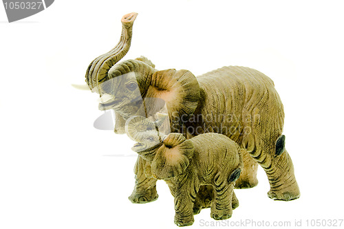 Image of Elephants