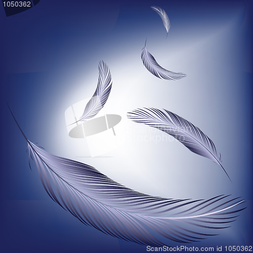Image of feathers in the wind