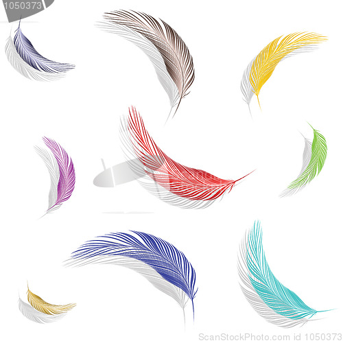 Image of colored feathers collection