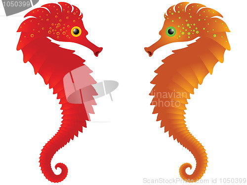 Image of sea horses against white