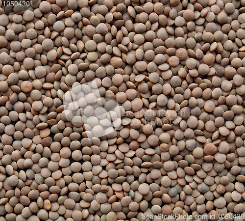 Image of Lentils