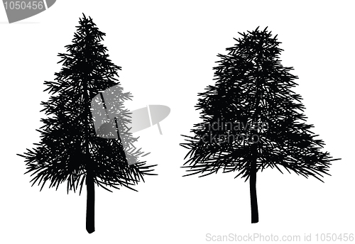 Image of christmas trees