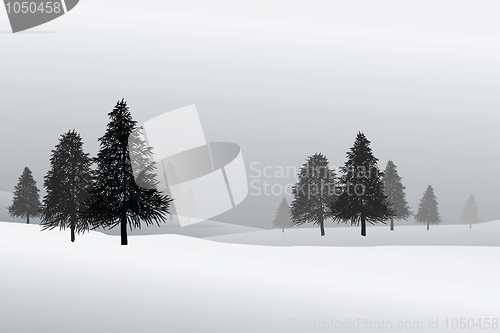 Image of snow scene