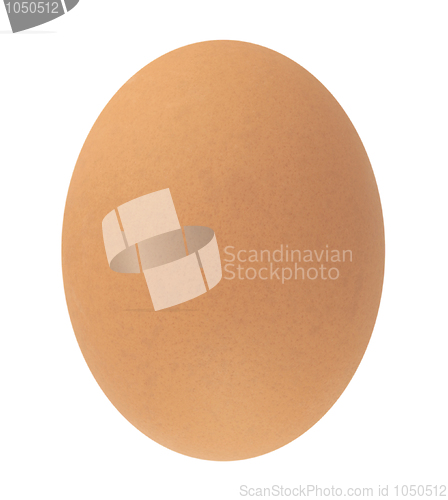 Image of Egg