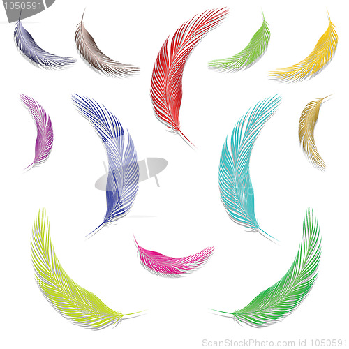 Image of feathers in colors