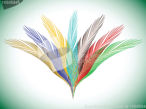 Image of feathers fan