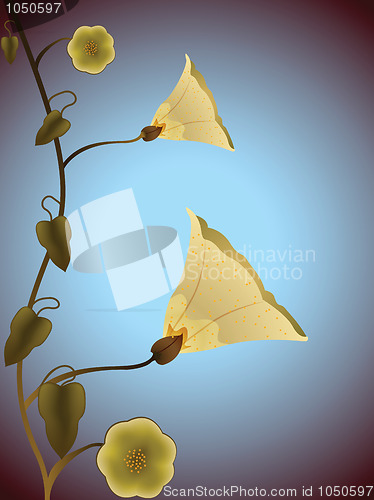 Image of flowers abstract