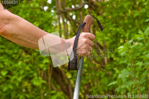 Image of Nordic Walking