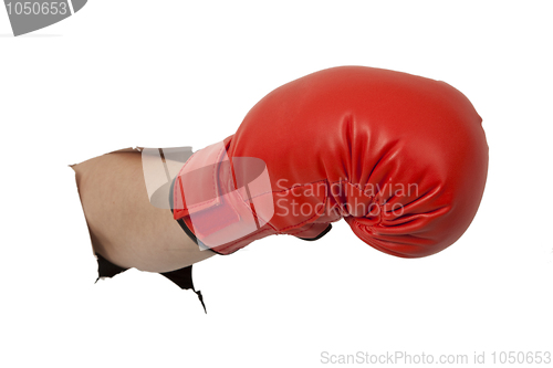 Image of Box glove