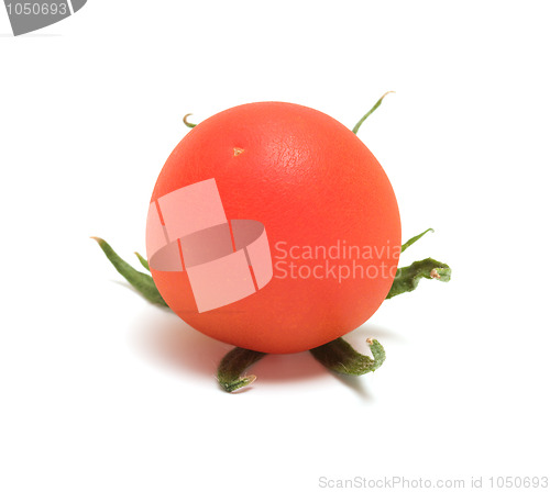 Image of Tomato.