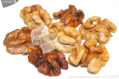 Image of nut on white background
