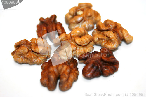 Image of nut on white background