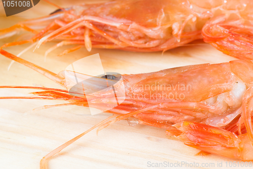 Image of Prawns