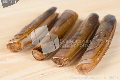 Image of Razor clams