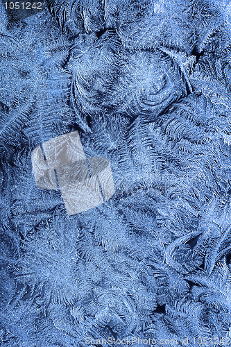 Image of Frost patterns on window glass in winter