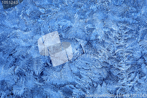 Image of Frost patterns on window glass in winter