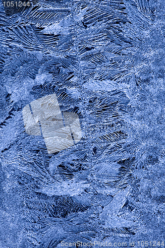 Image of Frost patterns on window glass in winter