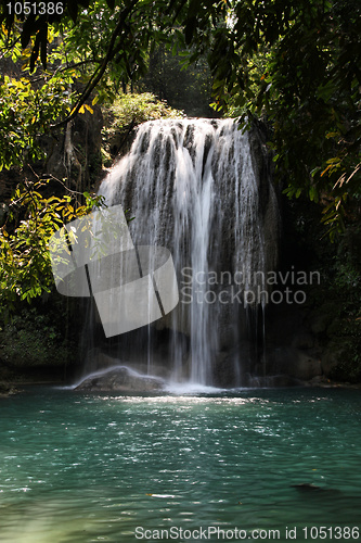 Image of Jungle in Thailand