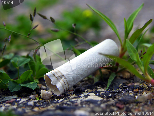 Image of A cigarette butt litters the asphalt in an urban landscape in Lansing, Michigan (macro 8MP camera)